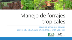 Manejo de forrajes tropicales. Dr. Rolando Barahona Rosales. CIAT