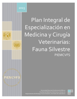 Plan Integral de Especialización en Medicina y Cirugía Veterinarias