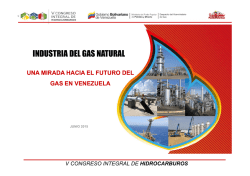 Mruen Aissami – PDVSA - Cámara Petrolera de Venezuela
