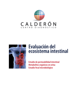 Ejemplo de informe - Tienda Laboratorio Calderón