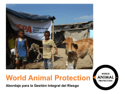 El abordaje de World Animal Protection en la Gestión Integral del