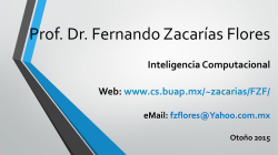 Prof. Dr. Fernando Zacarías Flores