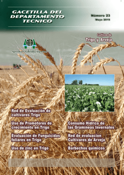 ensayo cultivares de trigo - AFA - Agricultores Federados Argentinos