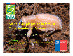 Manejo de plagas de la familia Curculionidae en Viveros