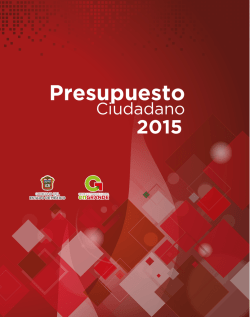 Descarga el archivo pdf del Presupuesto Ciudadano 2015