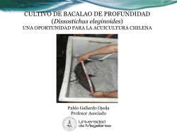CULTIVO DE BACALAO DE PROFUNDIDAD