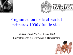 Programación de la obesidad primeros 1000 días de vida