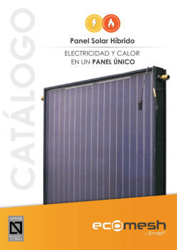 Panel Solar Híbrido