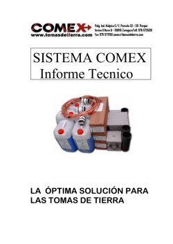 SISTEMA COMEX Informe Tecnico