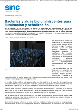 Bacterias y algas unicelulares para iluminar el ambiente sin