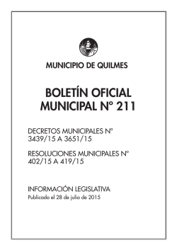 Boletín Oficial Municipal N° 211. Publicado el 28 de julio