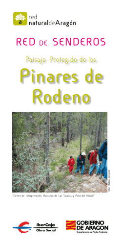 Pinares de Rodeno - Red Natural de Aragón
