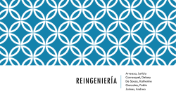 REINGENIERÍA - WordPress.com