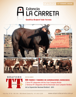 toros - Estancia La Carreta