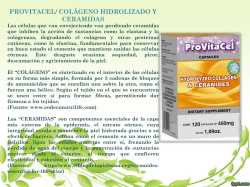 provitacel/ colágeno hidrolizado y ceramidas