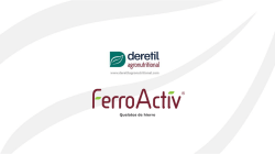 Catálogo Ferroactiv - Deretil Agronutritional