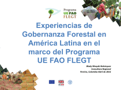 Experiencias de Gobernanza Forestal en América Latina en el