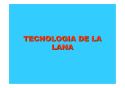 TECNOLOGIA DE LA LANA - Aula Virtual