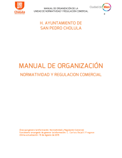 Manual de Organización - Normatividad y Regulación Comercial