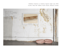 Exhibition Colectivo La Colmena, Espacio Urg3l, June 2015. Curator