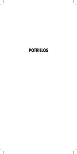 POTRILLOS - Haras Abolengo