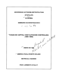 "FUGAS DE CAPITAL CON FLOTACION CONTROLADA (1991