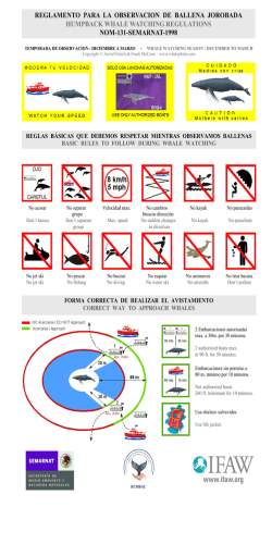 reglamento para la observacion de ballena jorobada humpback