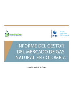 Informe semestral - Gestor del mercado de Gas natural en Colombia