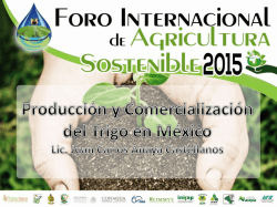 Producción y Comercialización del Trigo en México. Lic. Juan