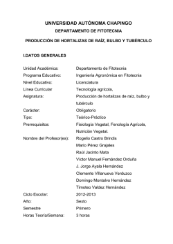 Producción de Hortalizas de Raíz, Bulbo y Tubérculo