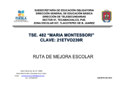 RUTA DE MEJORA ESCOLAR - Esc. Tse. María Montessori