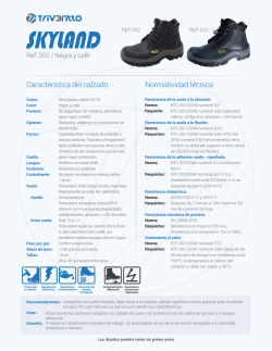 Característica del calzado Normatividad técnica