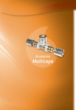 Descargar Accesorios Multicapa PDF