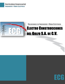 ELECTRO CONSTRUCCIONES DEL GOLFO S.A. DE C.V.