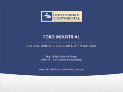 Productividad y crecimiento industrial. Felipe Gutarra, Director de