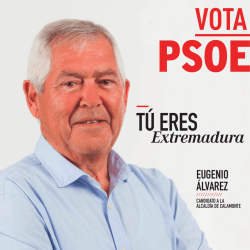 programa PSOE calamonte web