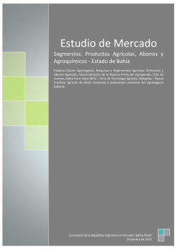 Estudio de Mercado - Consulado de la República Argentina en San