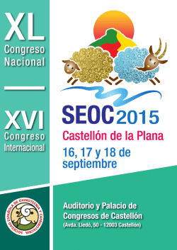 Programa SEOC 2015 Castellón