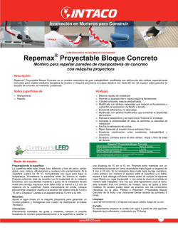 Repemax Proyectable Bloque Concreto
