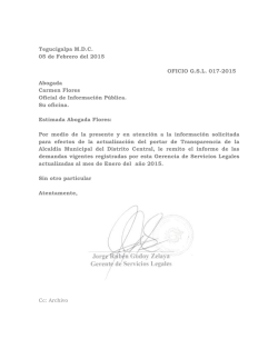 Tegucigalpa M.D.C. 05 de Febrero del 2015 OFICIO G.S.L. 017