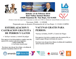 esterilazacion y castracion gratuita de perros y gatos vacunas gratis