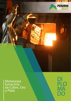 Metalurgia Extractiva de Cobre, Oro y Plata