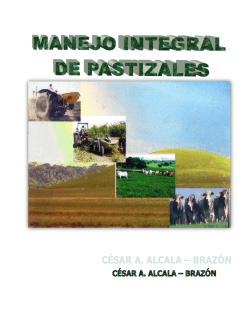 Libro Manejo_Integral_Pastizales