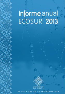 Informe anual ECOSUR 2013