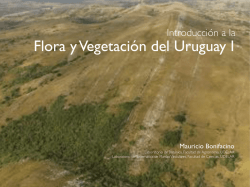 Flora y Vegetación del Uruguay I