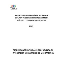 Resolución Jefes de Estado - Tuxtla 2015