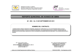 Informe - Delegación Gustavo A. Madero