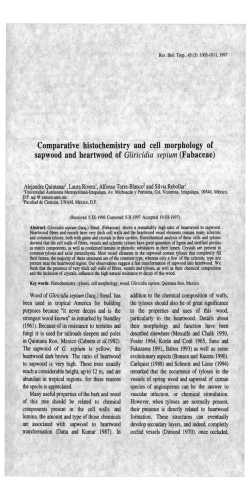 Comparative histochemistry and cell morphology of sapwood and