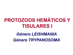 Género Leishmania y Trypanosoma