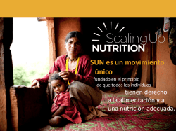 Scaling Up Nutrition-SUN
